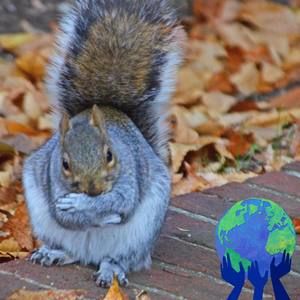 Meet your Posher, Thea